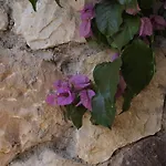 Lejlighed Apartmentsgarda - Canevini *